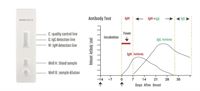 TEST COVID-19 (SARS-CoV-2) - professionale